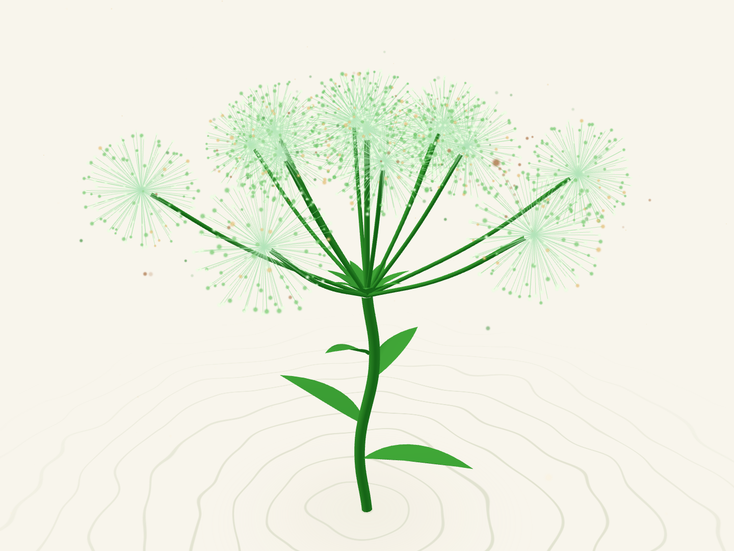 The Commons bloom: one plant opening into many seed heads
